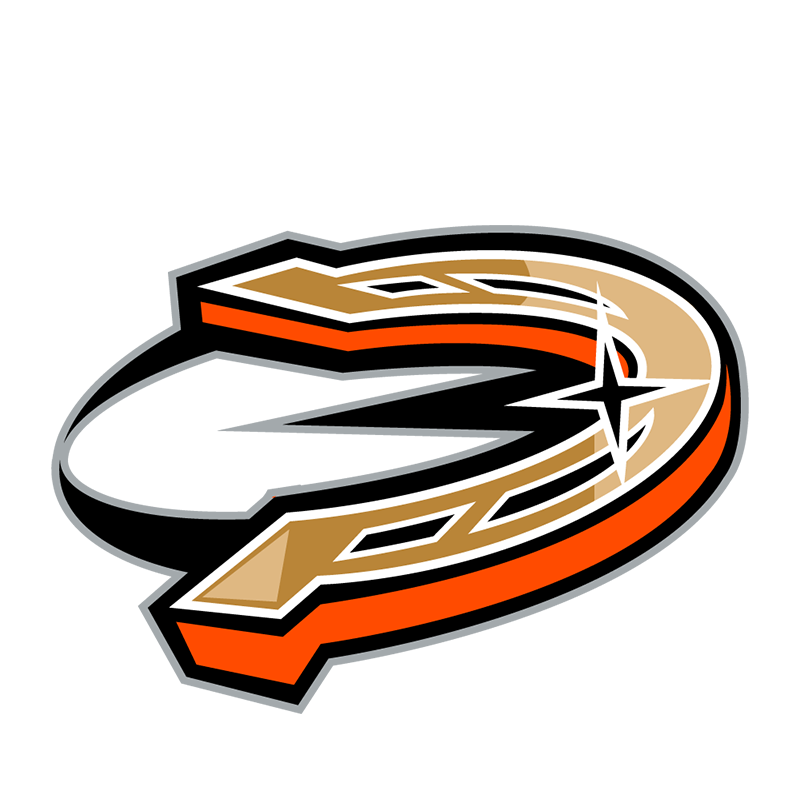Anaheim Ducks Entertainment logo DIY iron on transfer (heat transfer)